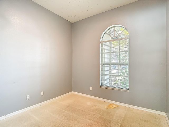 8543 BASUTO DRIVE, Trinity, FL 34655