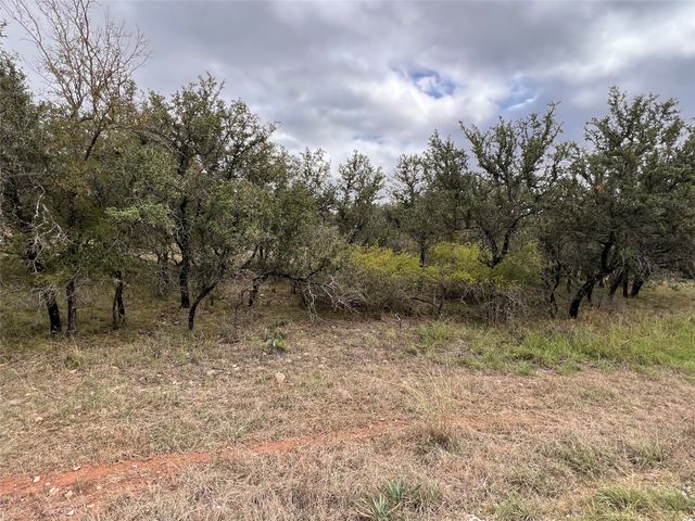 TBD Lot 586 Oak Point Drive, May, TX 76857