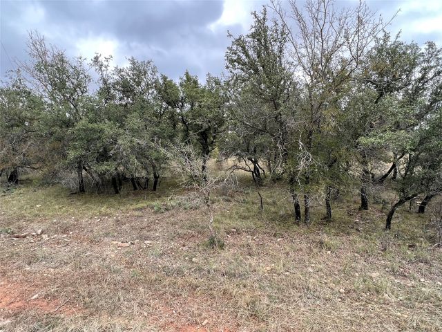 TBD Lot 586 Oak Point Drive, May, TX 76857