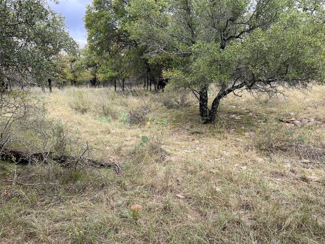 TBD Lot 586 Oak Point Drive, May, TX 76857