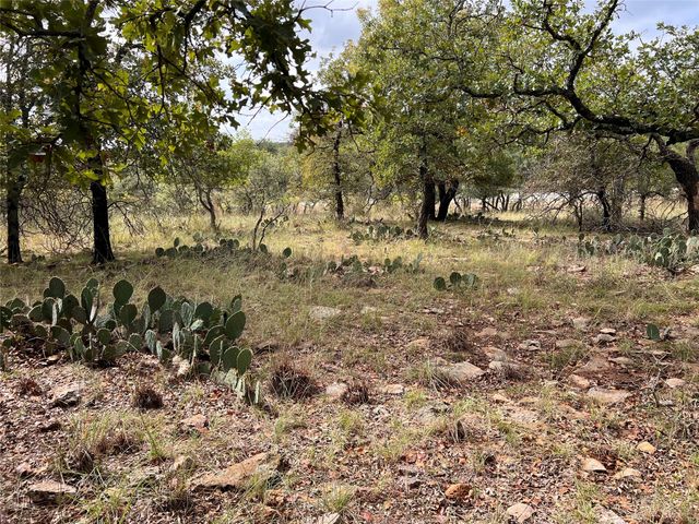 TBD Lot 586 Oak Point Drive, May, TX 76857