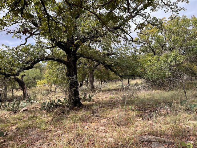 TBD Lot 586 Oak Point Drive, May, TX 76857