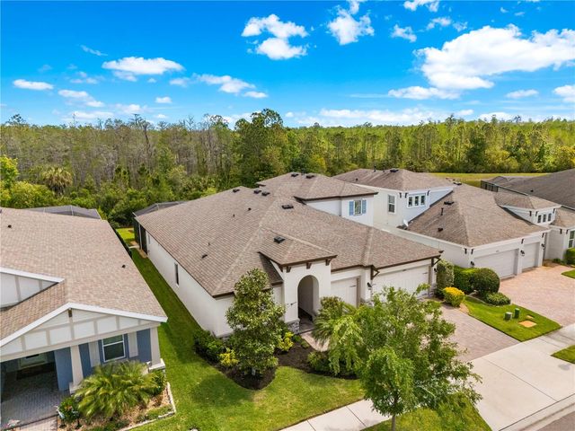 4374 TUNER BEND, Land O Lakes, FL 34638