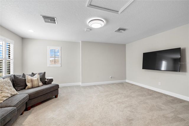 4374 TUNER BEND, Land O Lakes, FL 34638