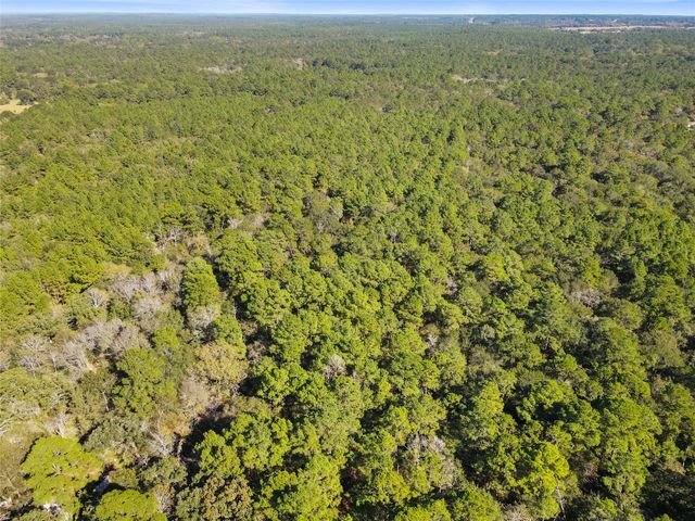 TBD Chandler Lane, Huntsville, TX 77320