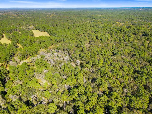 TBD Chandler Lane, Huntsville, TX 77320