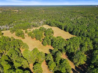 TBD Chandler Lane, Huntsville, TX 77320