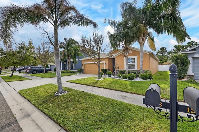 12113 ECHO BASIN COVE, Riverview, FL 33579