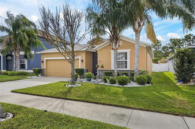 12113 ECHO BASIN COVE, Riverview, FL 33579