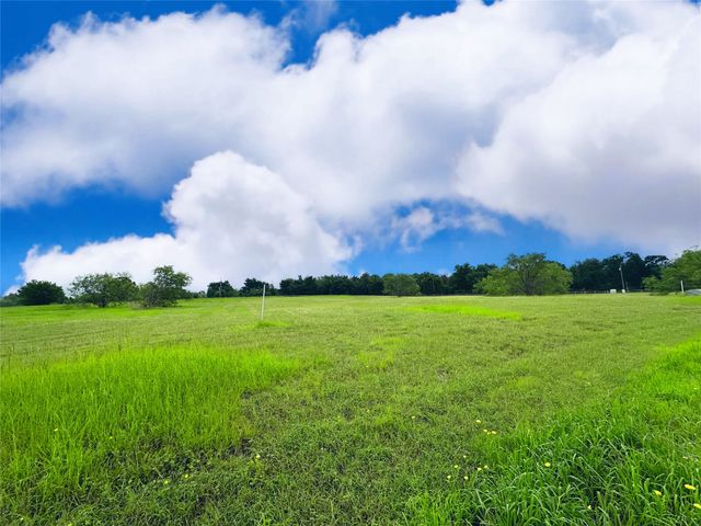 Lot 134 Lake Vista Drive, Streetman, TX 75859