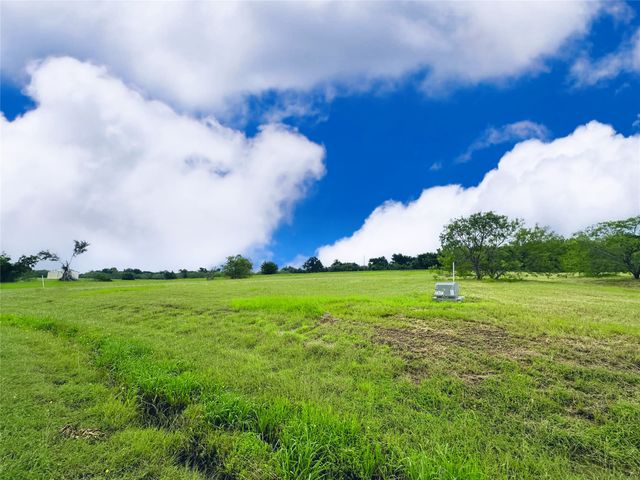 Lot 134 Lake Vista Drive, Streetman, TX 75859