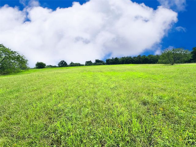 Lot 134 Lake Vista Drive, Streetman, TX 75859