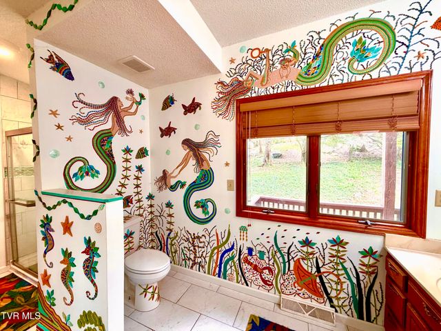 185 Mcafee Bluff, Gray, TN 37615