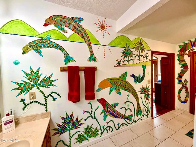 185 Mcafee Bluff, Gray, TN 37615