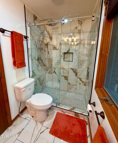 185 Mcafee Bluff, Gray, TN 37615