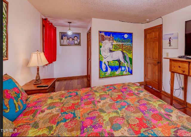 185 Mcafee Bluff, Gray, TN 37615