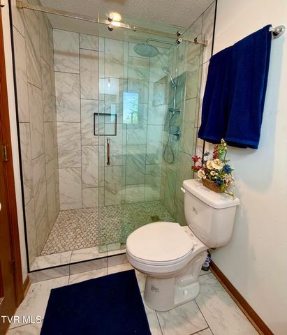 185 Mcafee Bluff, Gray, TN 37615