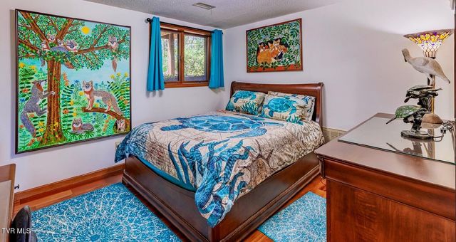 185 Mcafee Bluff, Gray, TN 37615