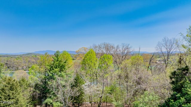 185 Mcafee Bluff, Gray, TN 37615