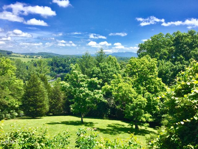 185 Mcafee Bluff, Gray, TN 37615