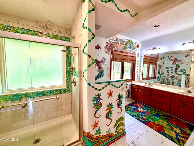 185 Mcafee Bluff, Gray, TN 37615