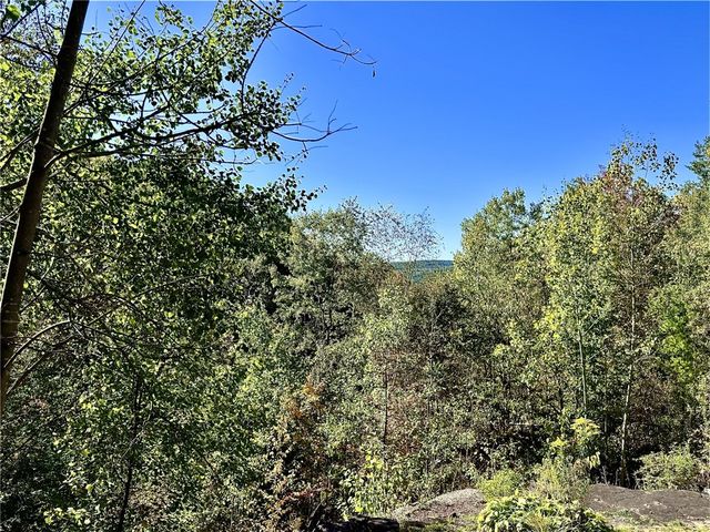 277 Miller Hill Road, Davenport, NY 13751