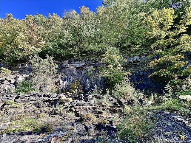 277 Miller Hill Road, Davenport, NY 13751