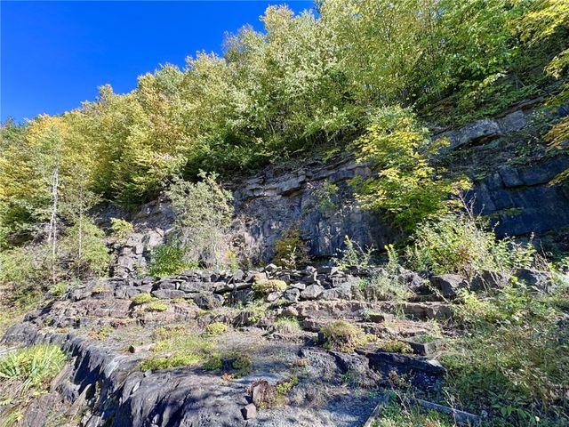 277 Miller Hill Road, Davenport, NY 13751