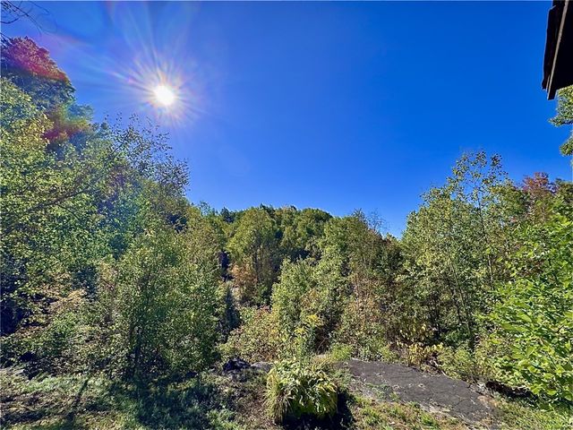 277 Miller Hill Road, Davenport, NY 13751