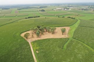 TBD County Road 27, Altura, MN 55910