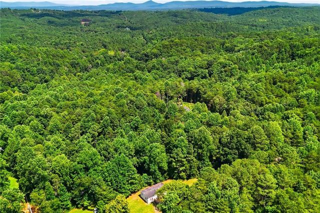1310 Davis Road W, Fairmount, GA 30139