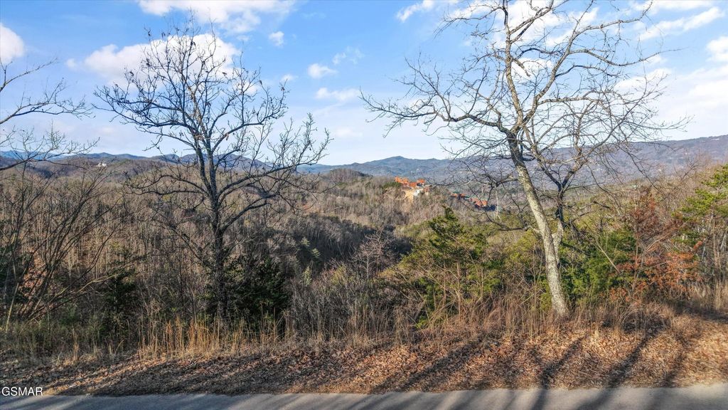 5 Falcon View Way, Sevierville, TN 37862
