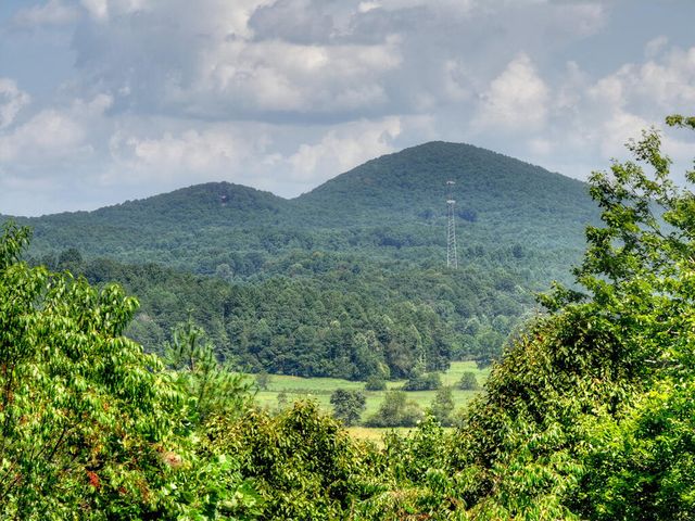 220 Chat-A-While Lane, Morganton, GA 30560