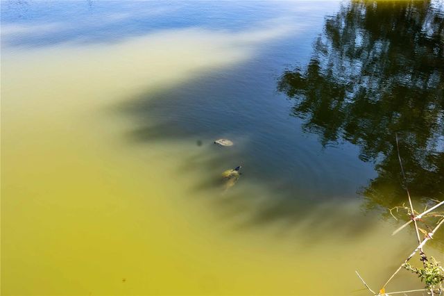 1259 FLAMINGO DRIVE, Englewood, FL 34224