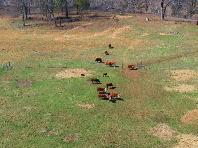 638 Howell Rd, Westmoreland, TN 37186