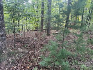 TBD Forest Country Drive 66, Marion, NC 28752