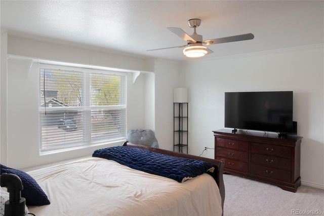 750 Capeglen Road, Colorado Springs, CO 80906