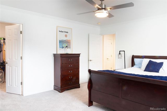 750 Capeglen Road, Colorado Springs, CO 80906