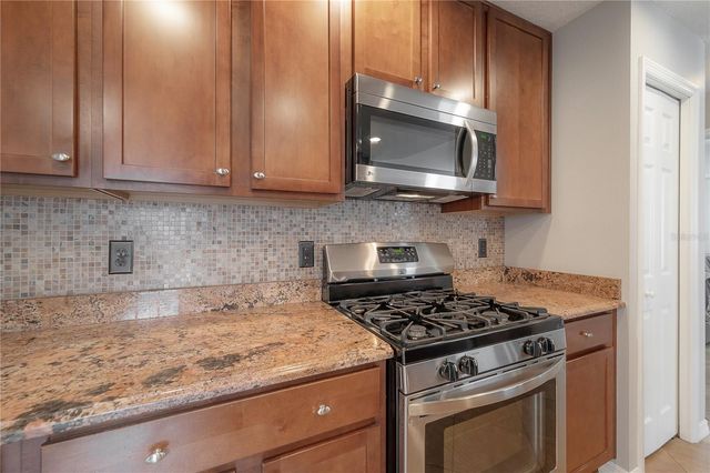 10248 WOODFORD BRIDGE STREET, Tampa, FL 33626