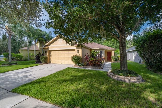 10248 WOODFORD BRIDGE STREET, Tampa, FL 33626