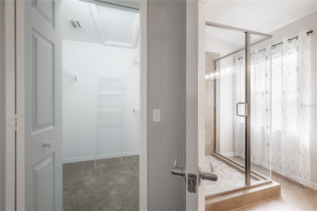 10248 WOODFORD BRIDGE STREET, Tampa, FL 33626