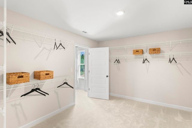 230 Horse Farm Place, Lexington, SC 29072