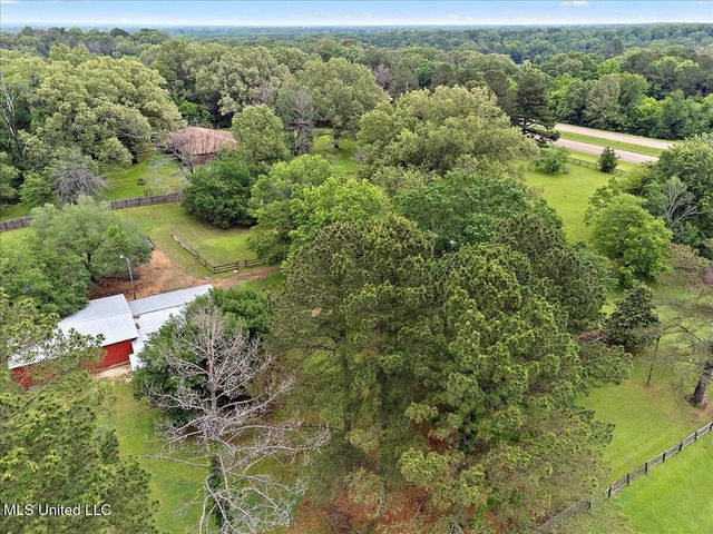 481 Us 49, Flora, MS 39071
