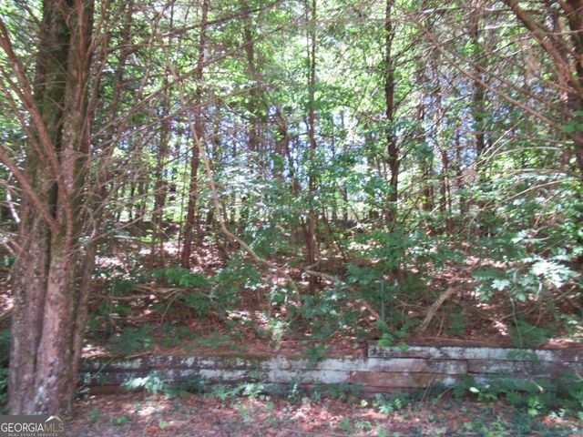 620 Mount Pleasant Church Road, Cleveland, GA 30528
