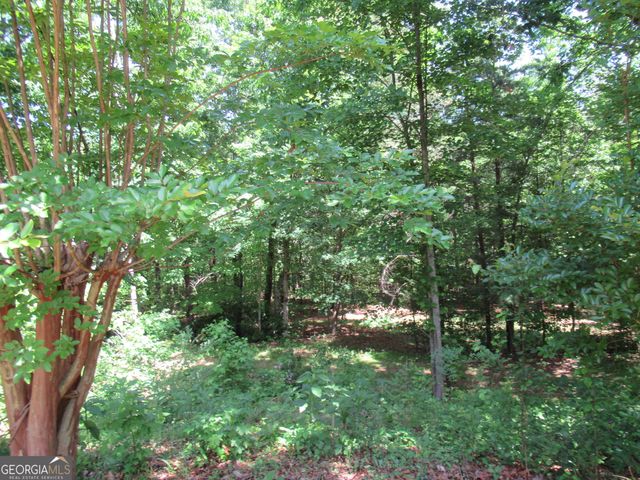 620 Mount Pleasant Church Road, Cleveland, GA 30528
