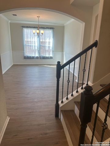 10811 Yaupon Holly, Helotes, TX 78023