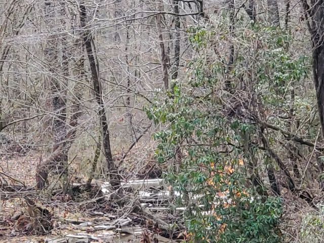 192 Mill Pond Court, Jasper, GA 30143