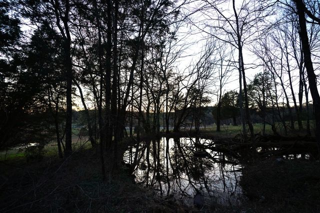 8301 Hartsville Pike, SE, Lebanon, TN 37087