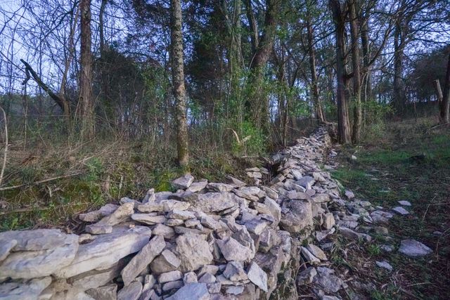 8301 Hartsville Pike, SE, Lebanon, TN 37087