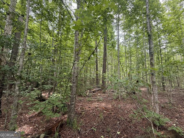 50 Harvest Road, Coleman, GA 39836